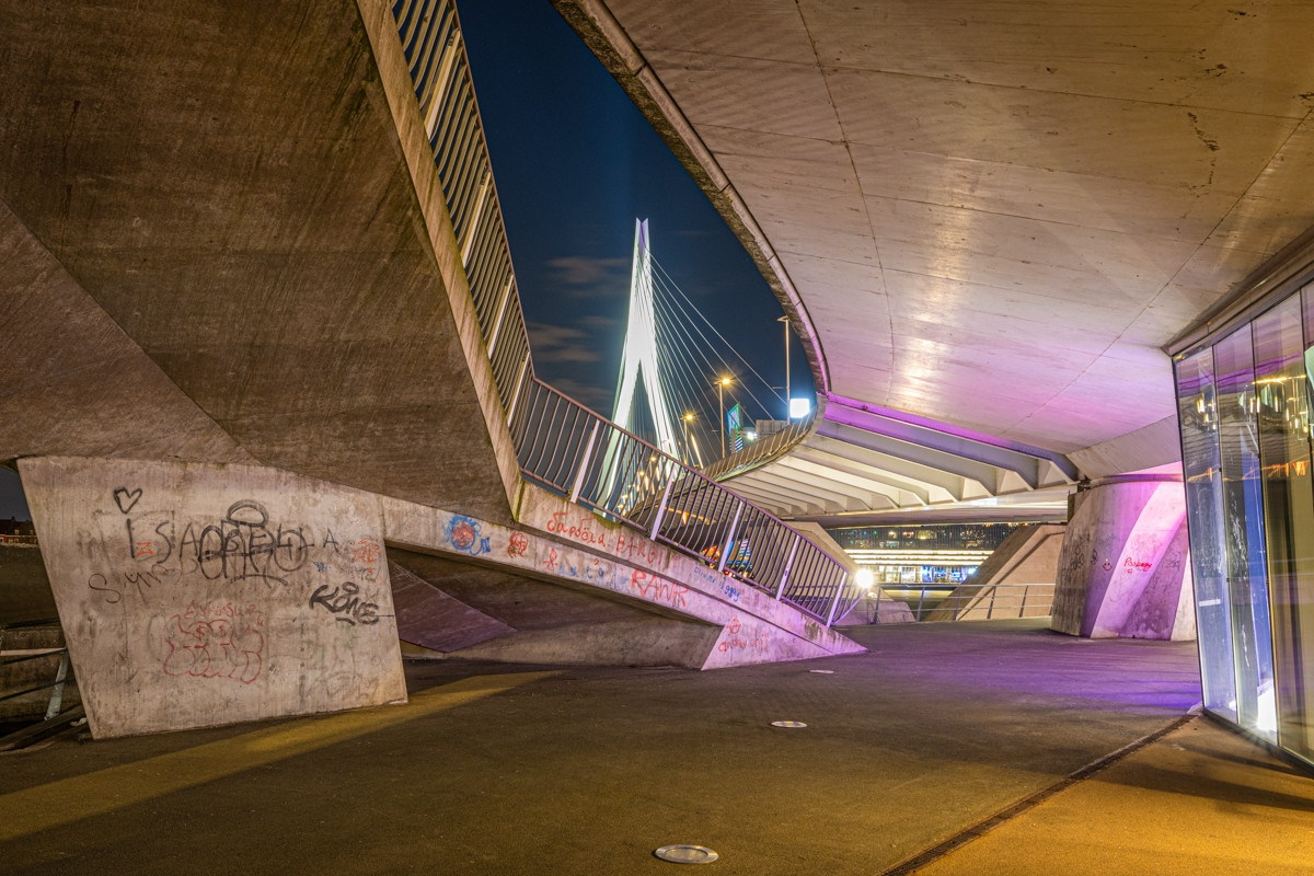 Under The Bridge - Rotterdam