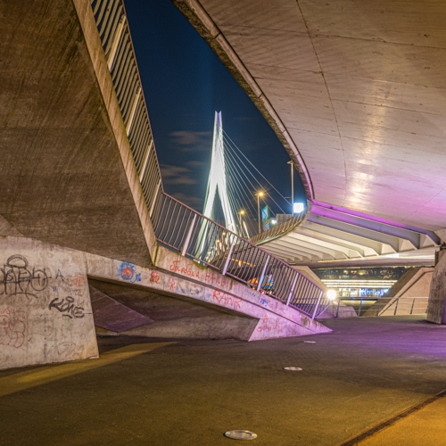 Under The Bridge - Rotterdam