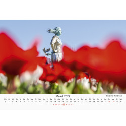 Alkmaar Kalender 2027